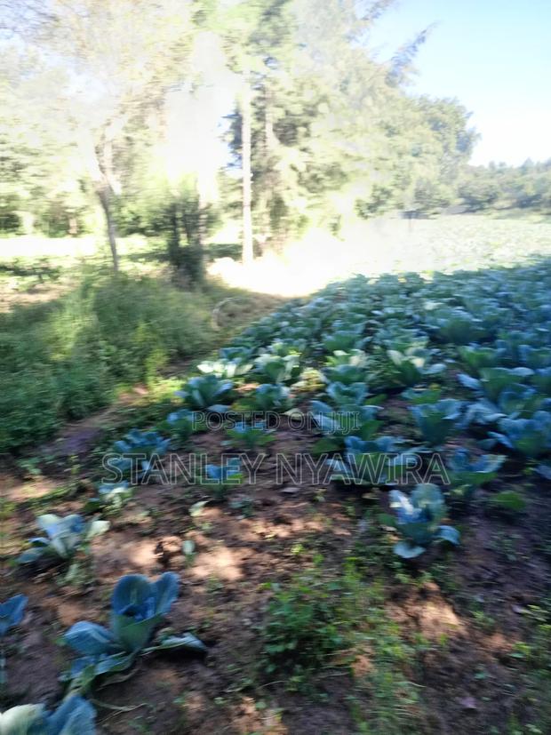 4.5 Acrea Nanyuki Fronting River - thumbnail 3