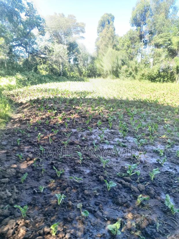 4.5 Acrea Nanyuki Fronting River - thumbnail 4