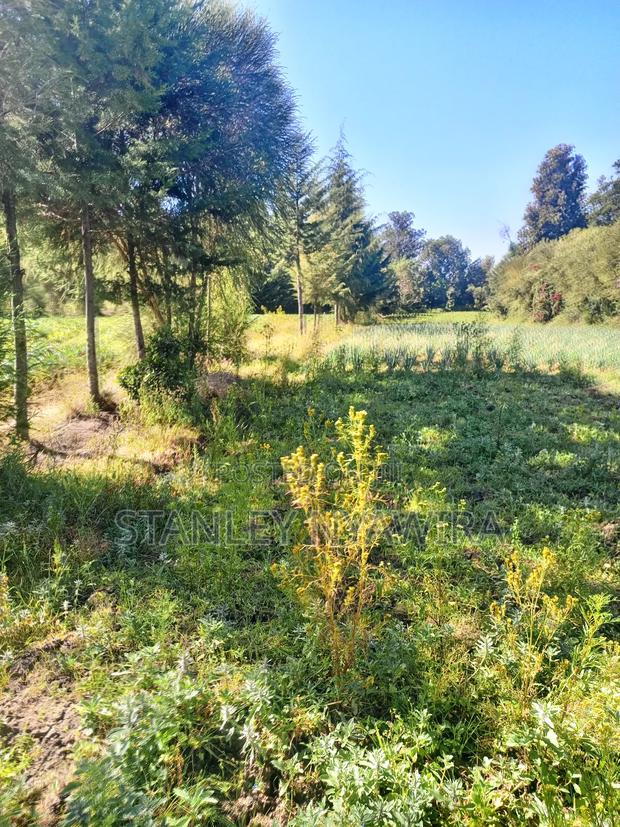 4.5 Acrea Nanyuki Fronting River - thumbnail 6