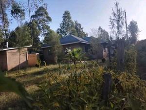 50x150 Plot Suneka Near Mwata Market - thumbnail 2