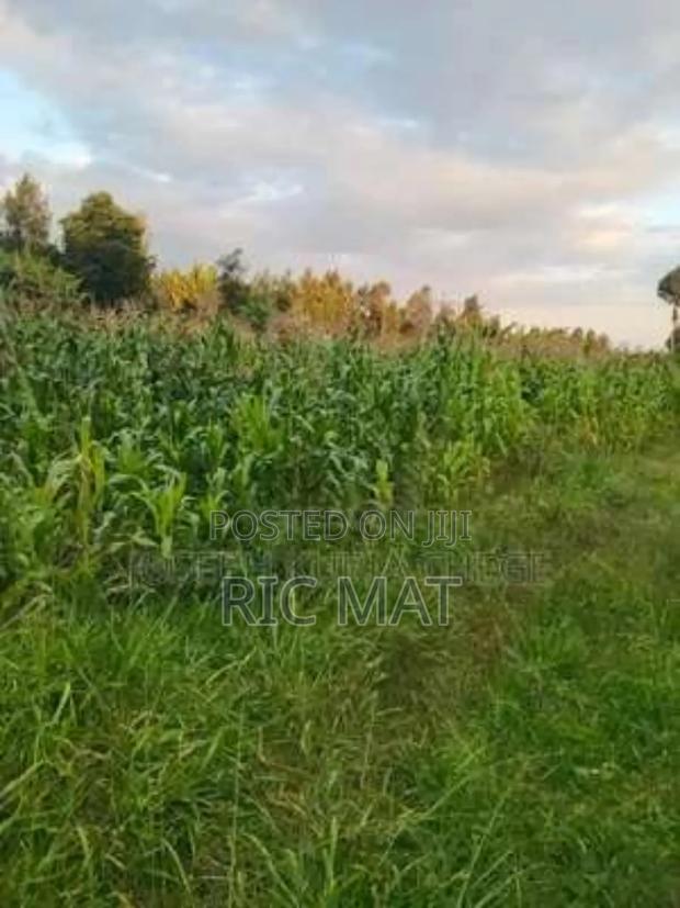 50x150 Plot Suneka Near Mwata Market - thumbnail 3