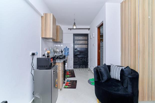 Fully Furnished City Views Studio Airbnb Ngara - thumbnail 7