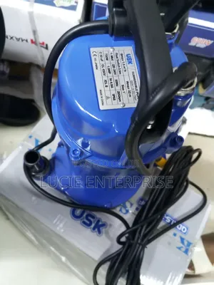 Submersible Water Pump 0.5hp/ Usk Shallow Well Water Pump