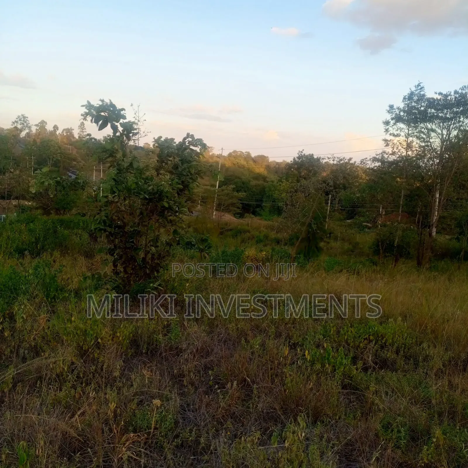 2.5 Commercial Land at Thika