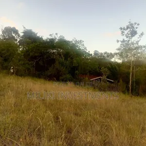 2.5 Commercial Land at Thika