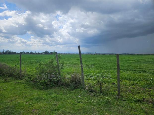 22 Acrea via Narumoro Luisoi - main view