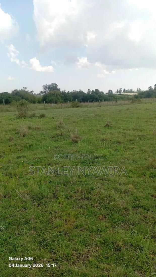 22 Acrea via Narumoro Luisoi - thumbnail 2