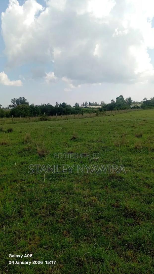 22 Acrea via Narumoro Luisoi - thumbnail 3