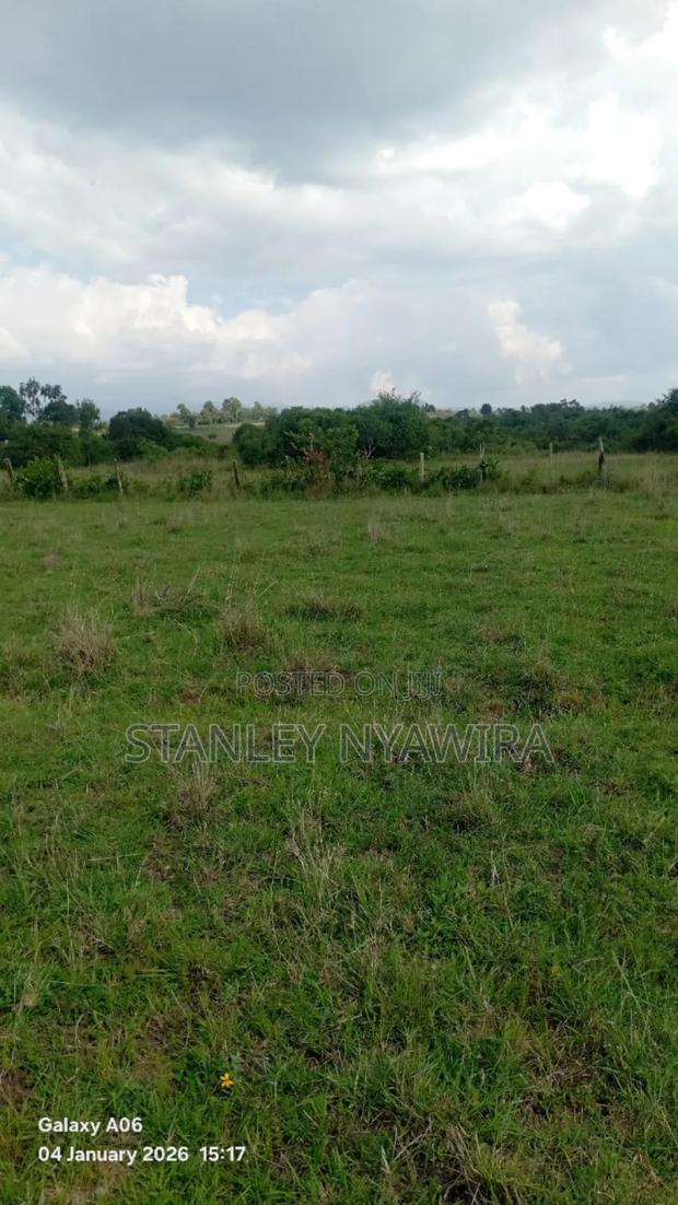 22 Acrea via Narumoro Luisoi - thumbnail 5