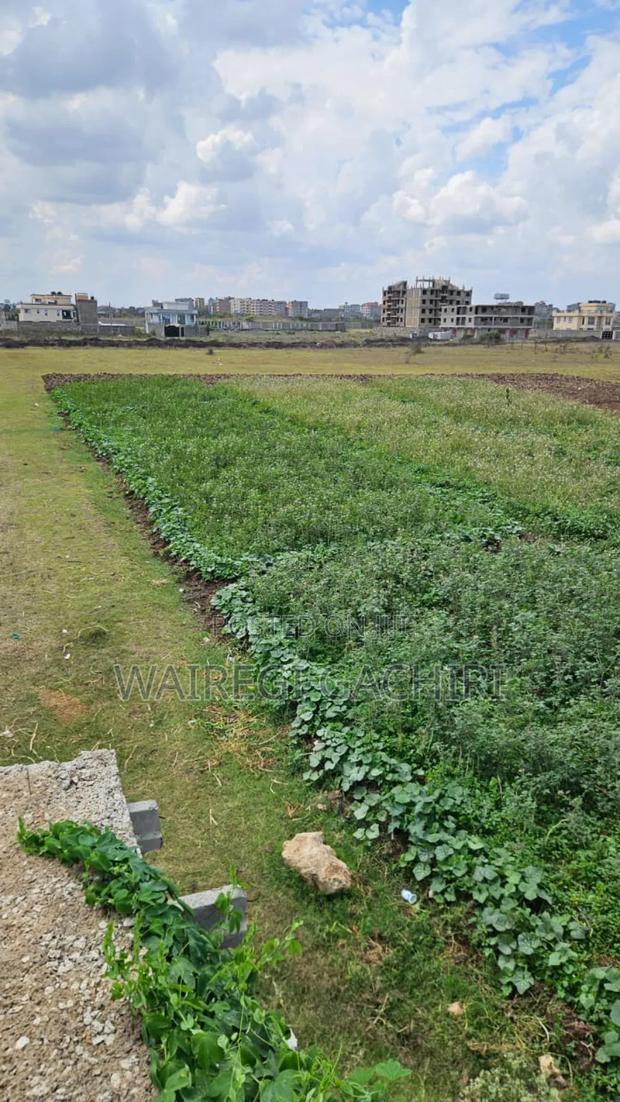 Land for Sale - main view