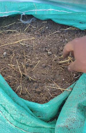 Decomposed Goat Manure - main view