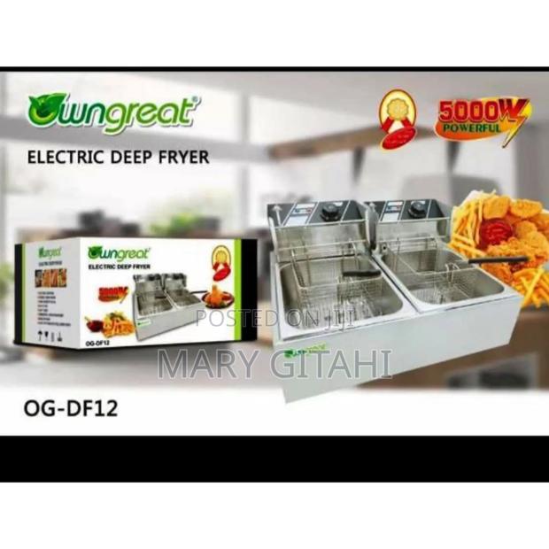 Owngreat 12litre Double Deep Fryer*