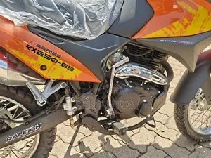 New Raleigh 250cc 2024 Orange