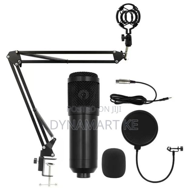 Bm800 Condenser Microphone + Metallic Stand for Recording Studio