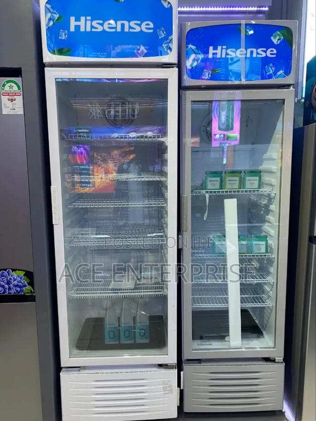 Chiller Display - Hisense 222 Litres Showcase Fridge - main view