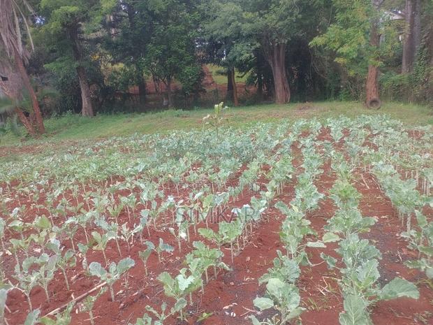 0.75-Acre Plot for Sale in Kyuna - thumbnail 4