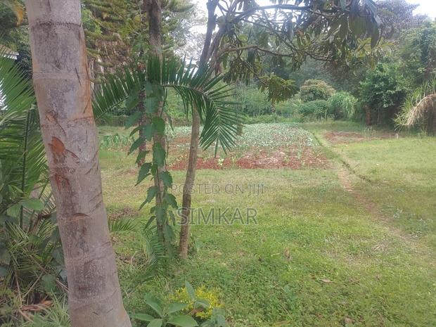 0.75-Acre Plot for Sale in Kyuna - thumbnail 7