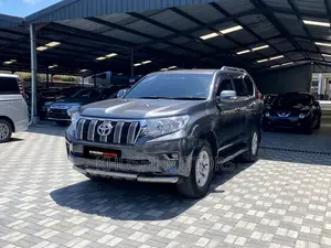 Toyota Land Cruiser Prado 2015 Gray