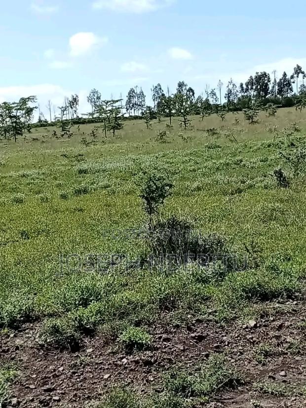 100 Acres on Sale Nyeri Nyahururu Highway 8 Kilometres Form Tarmac