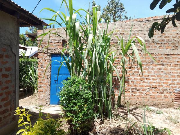 3bdrm Bungalow in Muyayi, Bukembe West for sale - thumbnail 10