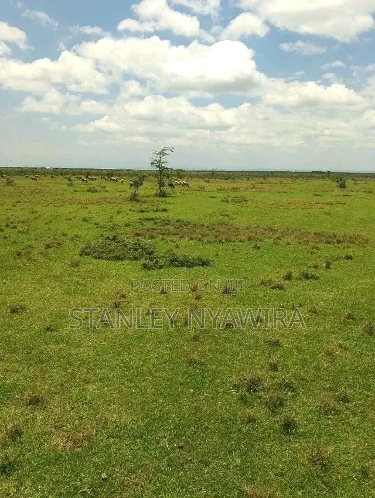 15 Acreas Nyeri Nyahururu Highway