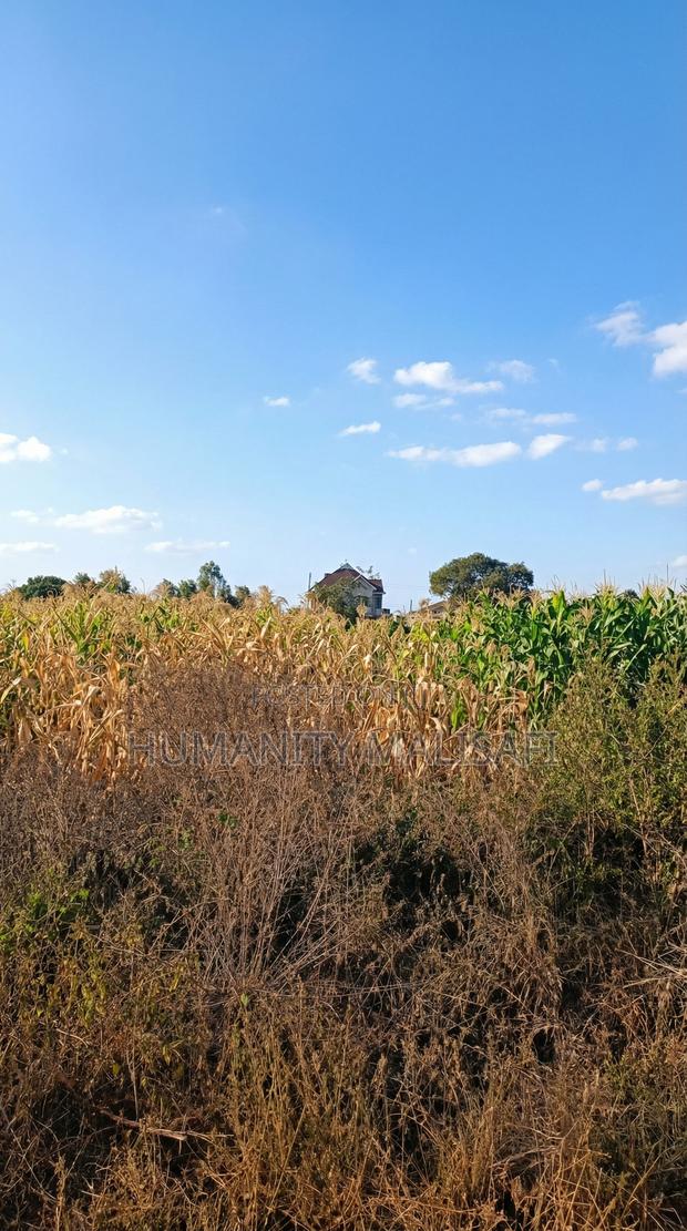 Kenyatta Road,Two Rivers Estate 40 by 80 Plots for Sell,Titled - thumbnail 4