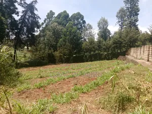 Plots Touching Tarmac, Electricity Available, Water Available