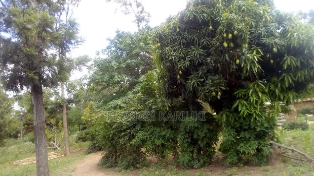 Land for Sale - thumbnail 3