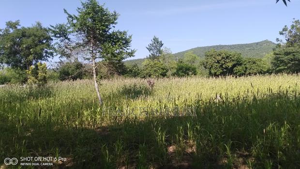 Land for Sale - thumbnail 6