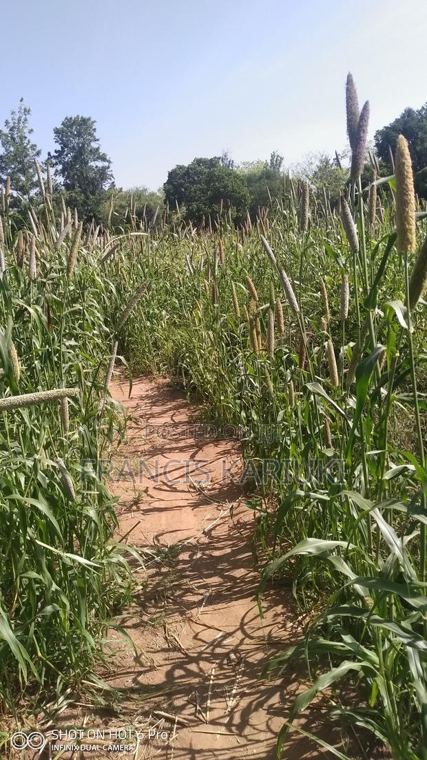 Land for Sale - thumbnail 7