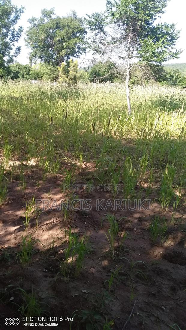 Land for Sale - thumbnail 8