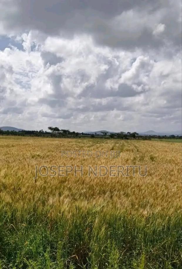 Quick Sale! Selling 5.3acres in Laikipia Ngobit, Withare Area