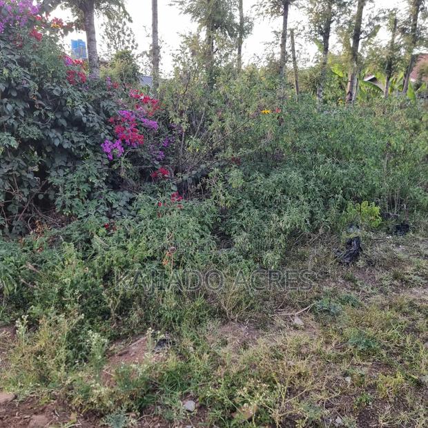 Priced to Go 1/4 at 5m Memusi ,Matasia - thumbnail 2