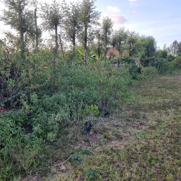 Priced to Go 1/4 at 5m Memusi ,Matasia - thumbnail 5