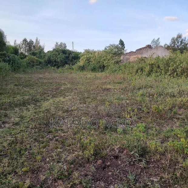 Priced to Go 1/4 at 5m Memusi ,Matasia - thumbnail 8