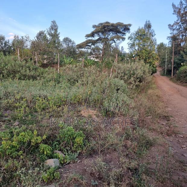 Priced to Go 1/4 at 5m Memusi ,Matasia - thumbnail 10