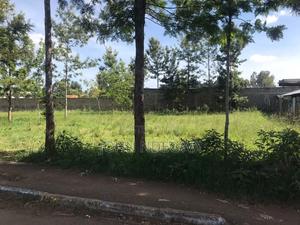 Kenol Prime Plot - thumbnail 2