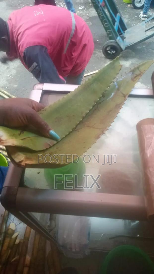 100% Natural Yoghurt for Men - thumbnail 4