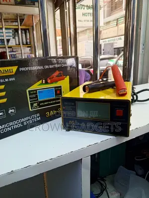 Bolaimei BLM-866 Intelligent Pulse Fast Battery Charger
