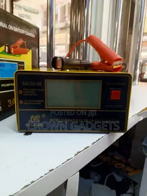 Bolaimei 12v 24v Smart Battery Charger LCD Display