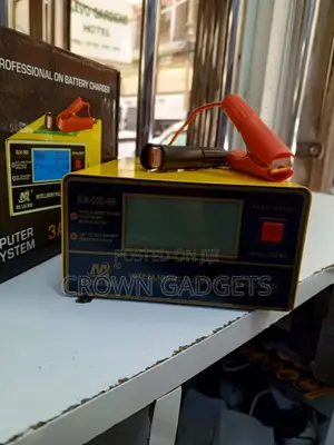 Bolaimei 12v 24v Smart Battery Charger LCD Display