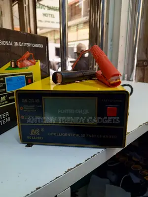 Blm-866 Smart Fast Charger For 3ah–200ah Batteries