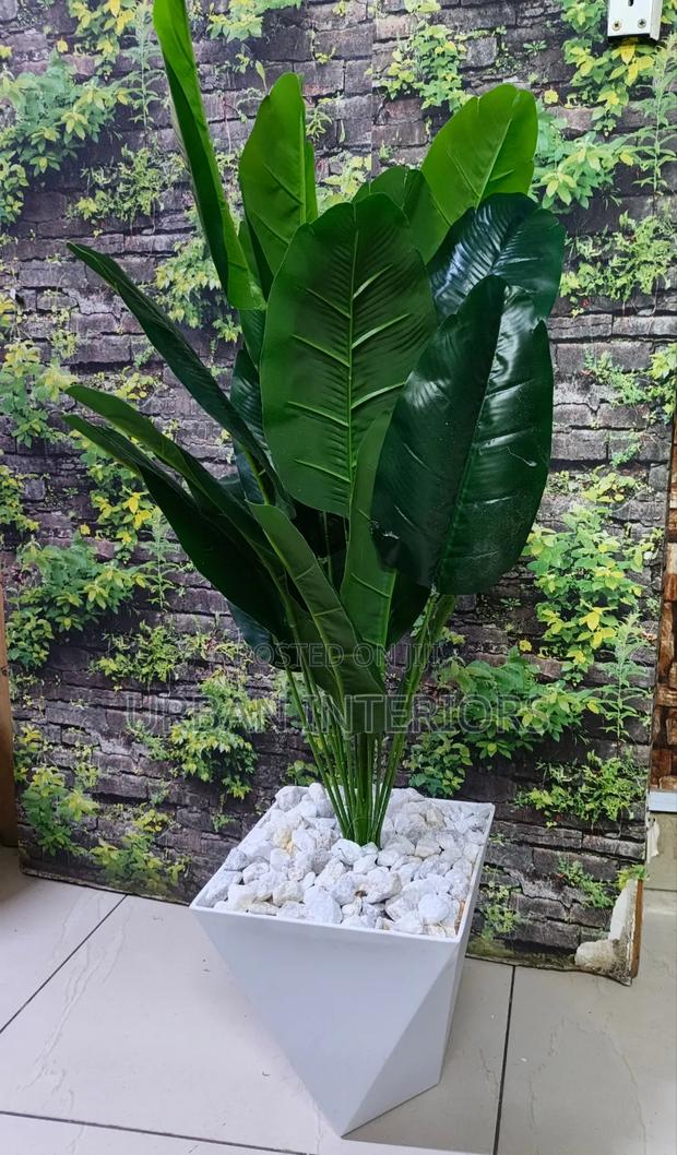 Artificial Green Banana Plant Green Banana Plant