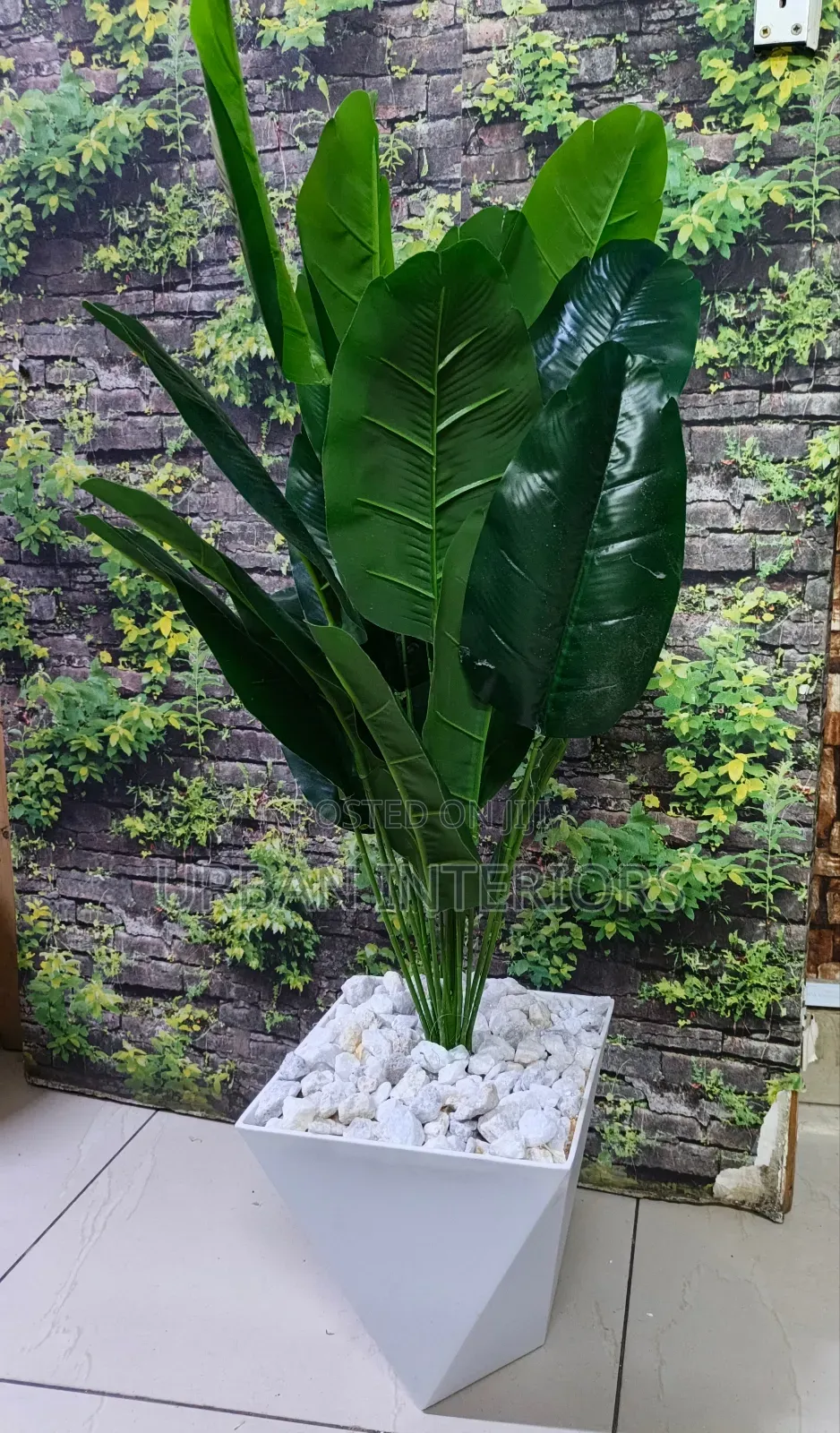 Artificial Green Banana Plant Green Banana Plant