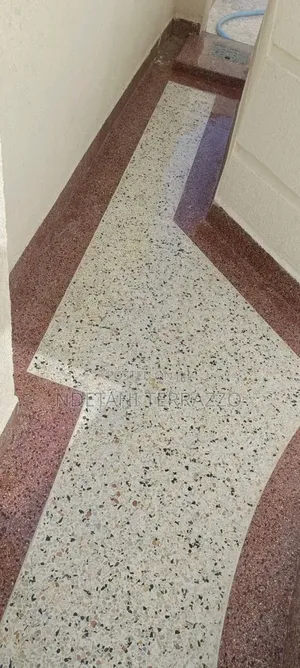 Terrazzo Shinning Floor