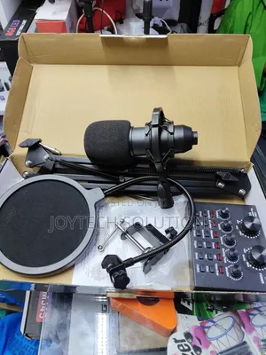Live Sound Card Professional Condenser Microphone