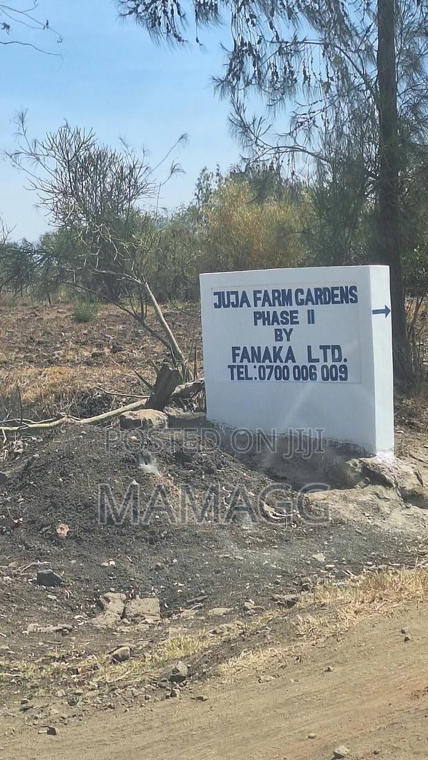 Prime 1/4 Acre (100×100) in Juja House – Direct From Owner - thumbnail 2