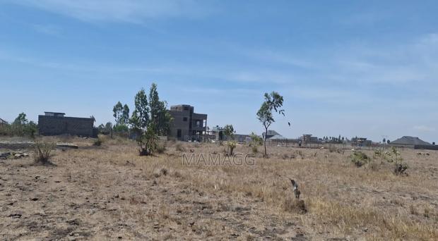 Prime 1/4 Acre (100×100) in Juja House – Direct From Owner - thumbnail 3
