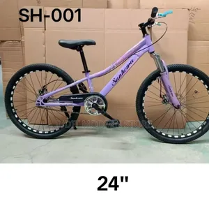 Kids Bike Size 24