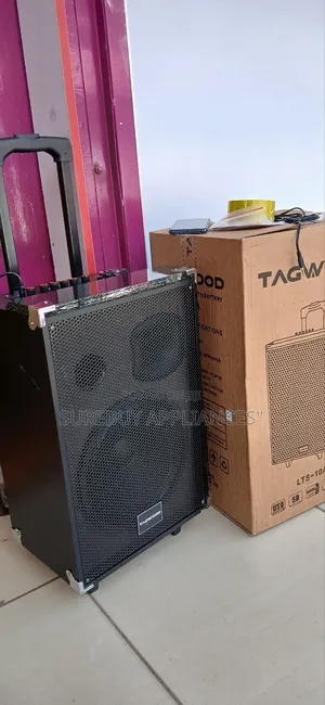Tagwood 10a Rechargeable 10′′ Trolley Speaker, Usb, Mic Led Display